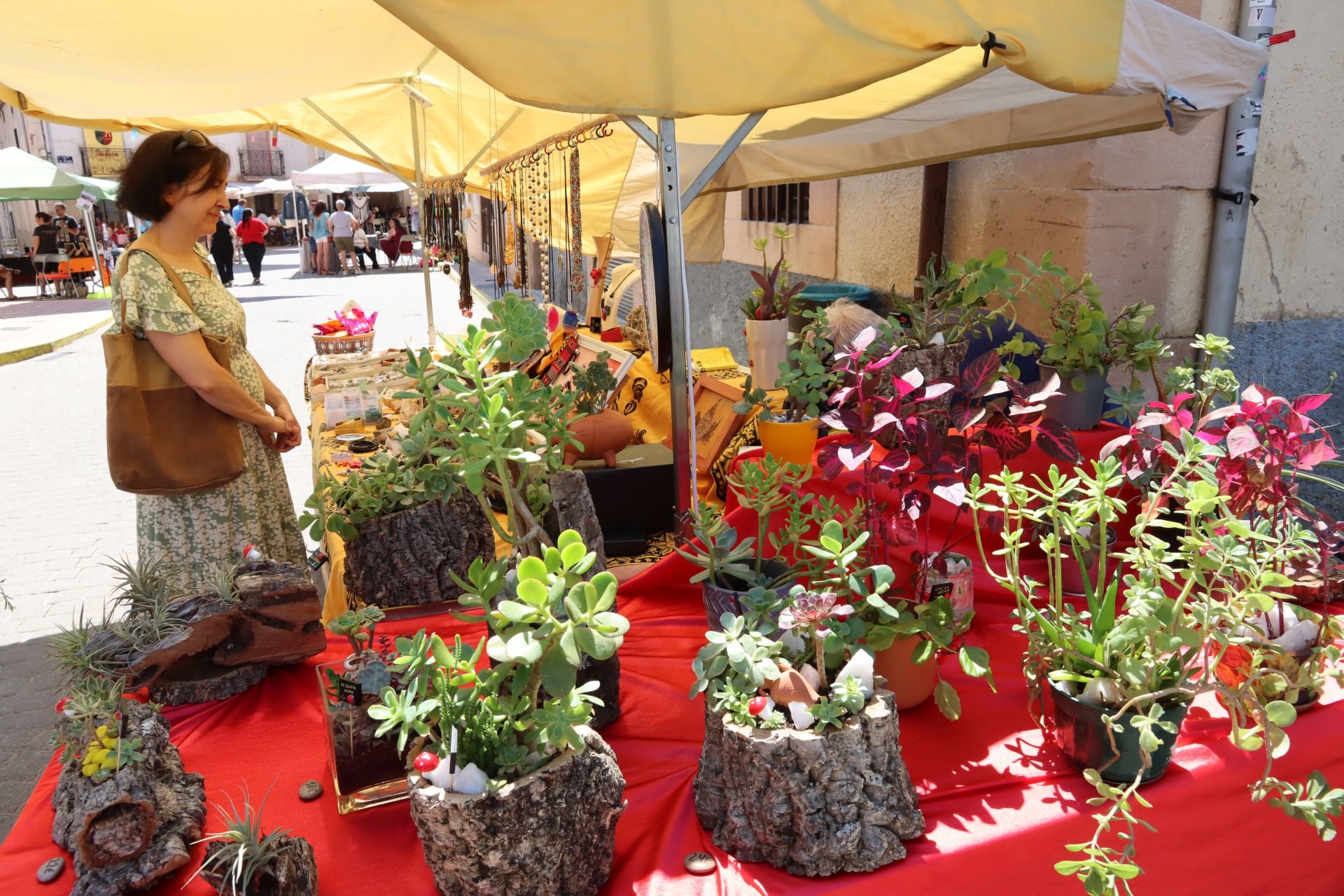 Feria de Muestras en Prádena