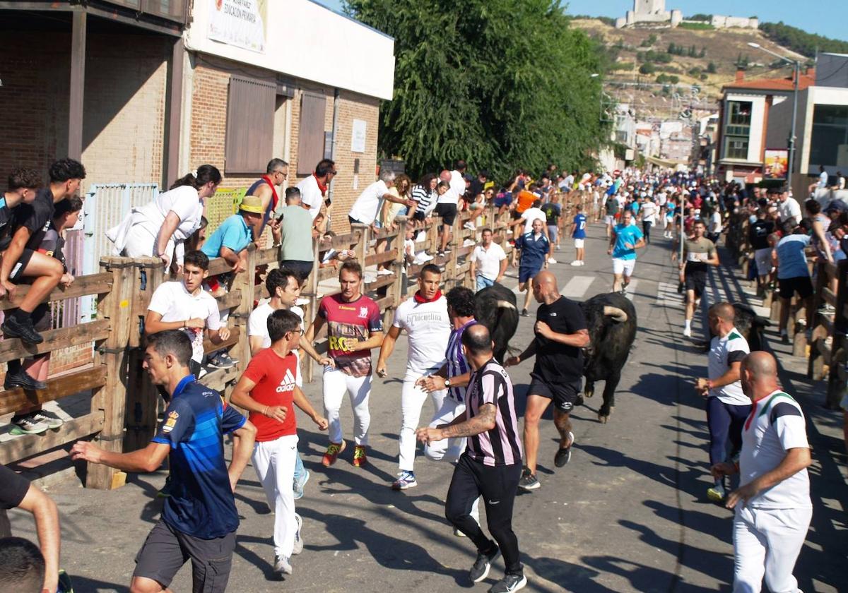 Encierro celebrado hoy por las calles de la localidad.