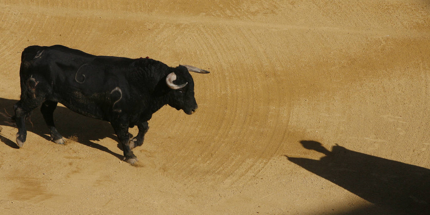 La sombra del torero ante el toro, el 5 de septiembre de 2006.