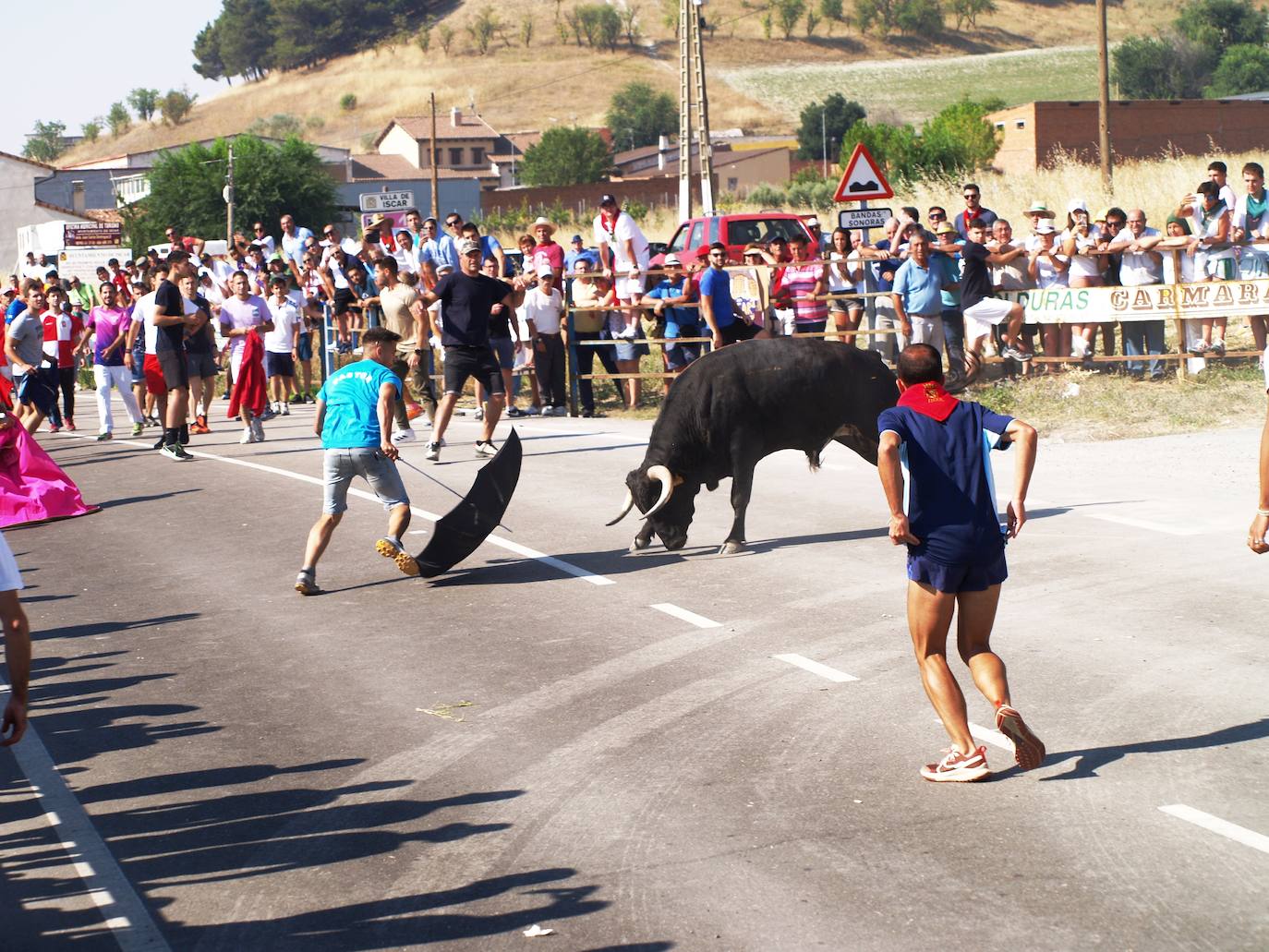 El encierro campero en Íscar, en imágenes