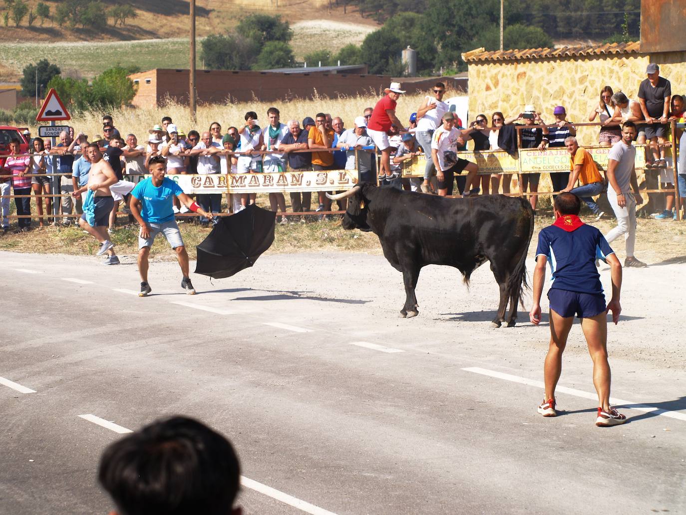 El encierro campero en Íscar, en imágenes