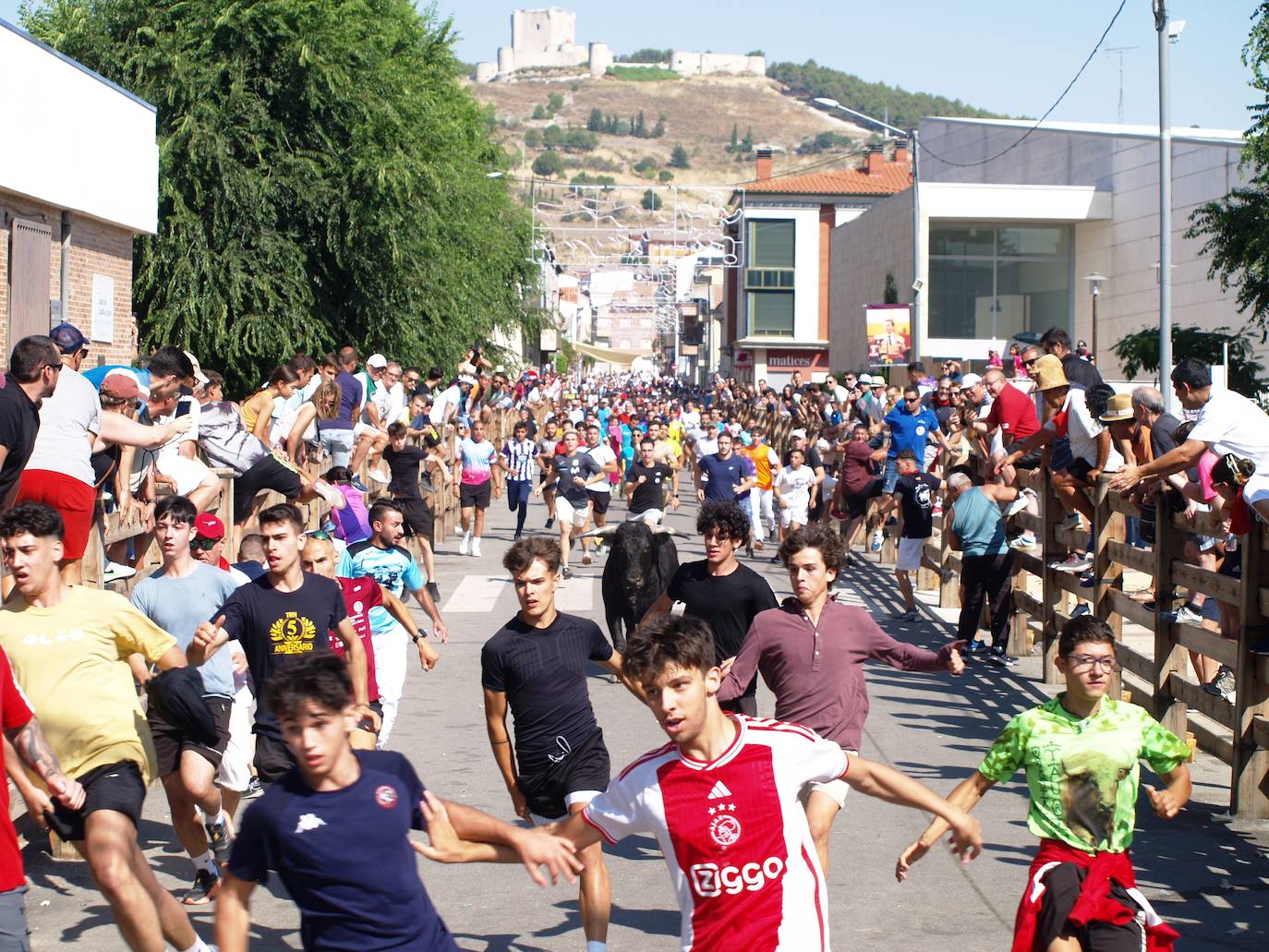 El encierro campero en Íscar, en imágenes