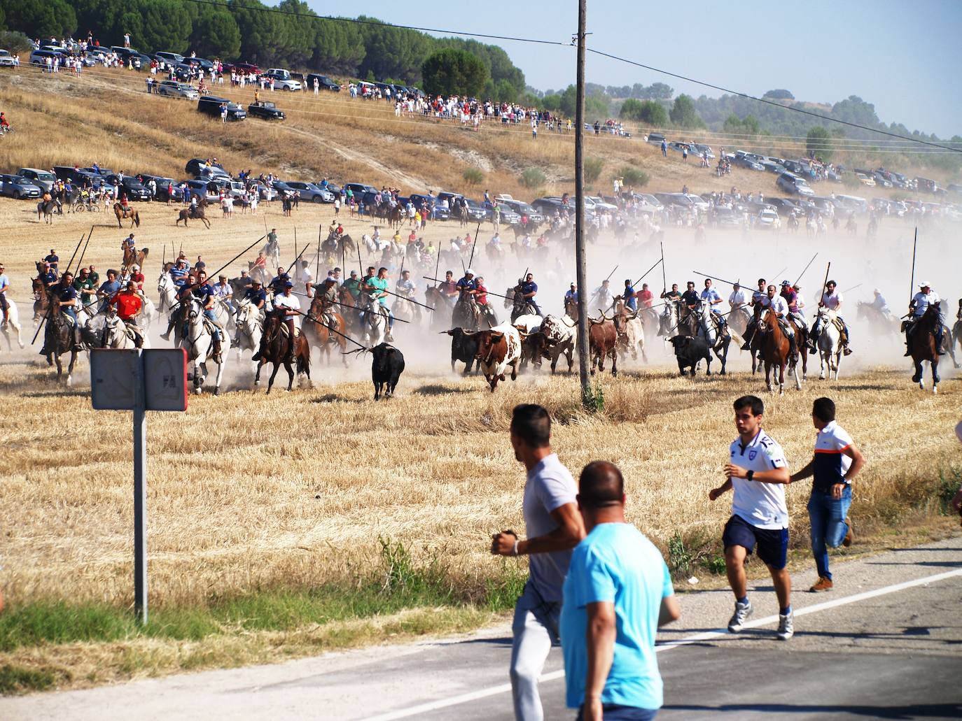El encierro campero en Íscar, en imágenes