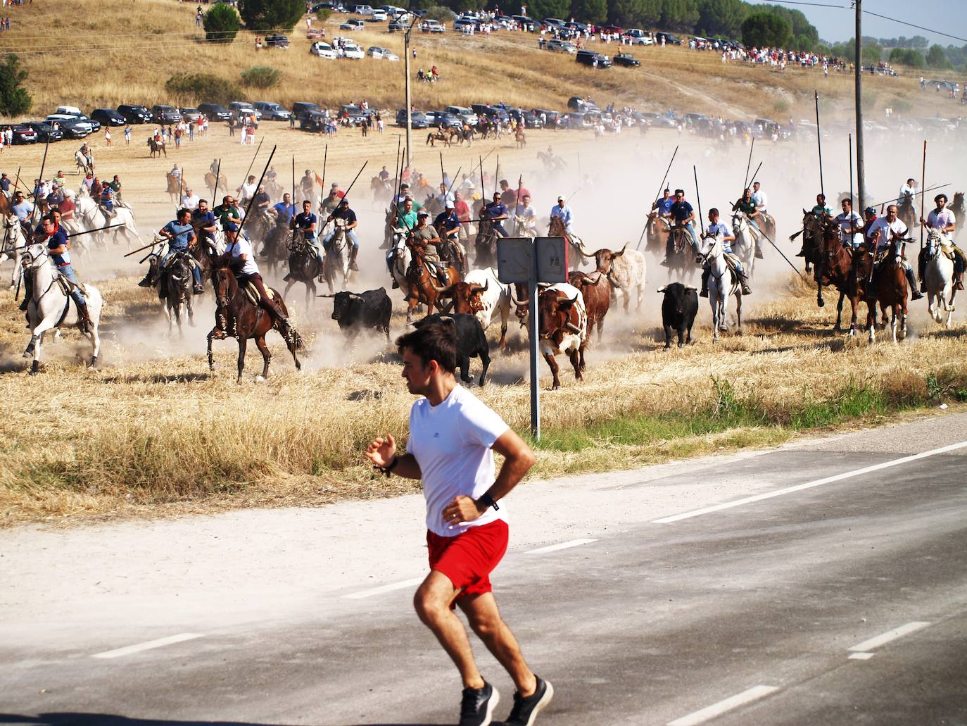 El encierro campero en Íscar, en imágenes