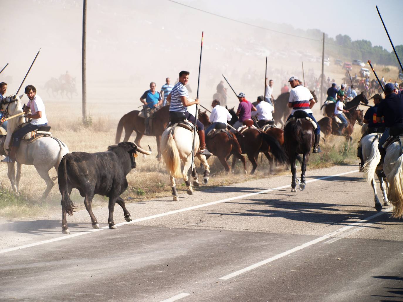 El encierro campero en Íscar, en imágenes