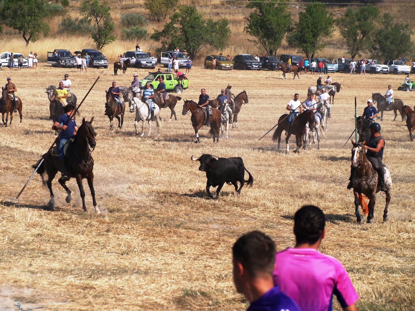 El encierro campero en Íscar, en imágenes