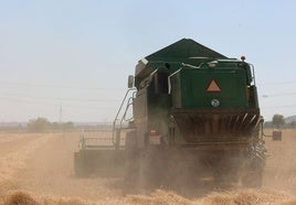 Una cosechadora en un campo palentino a finales del pasado mes de julio.