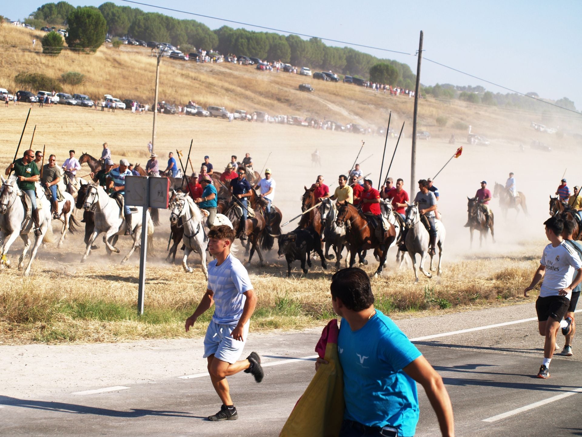 Último encierro de las fiestas de Íscar, este martes por la mañana.