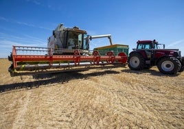 Descarga de cereal en una parcela de Fontiveros, en Ávila.