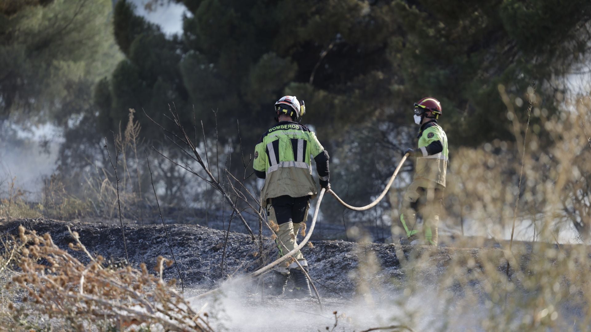 El nuevo incendio en Pinar de Jalón, en imágenes