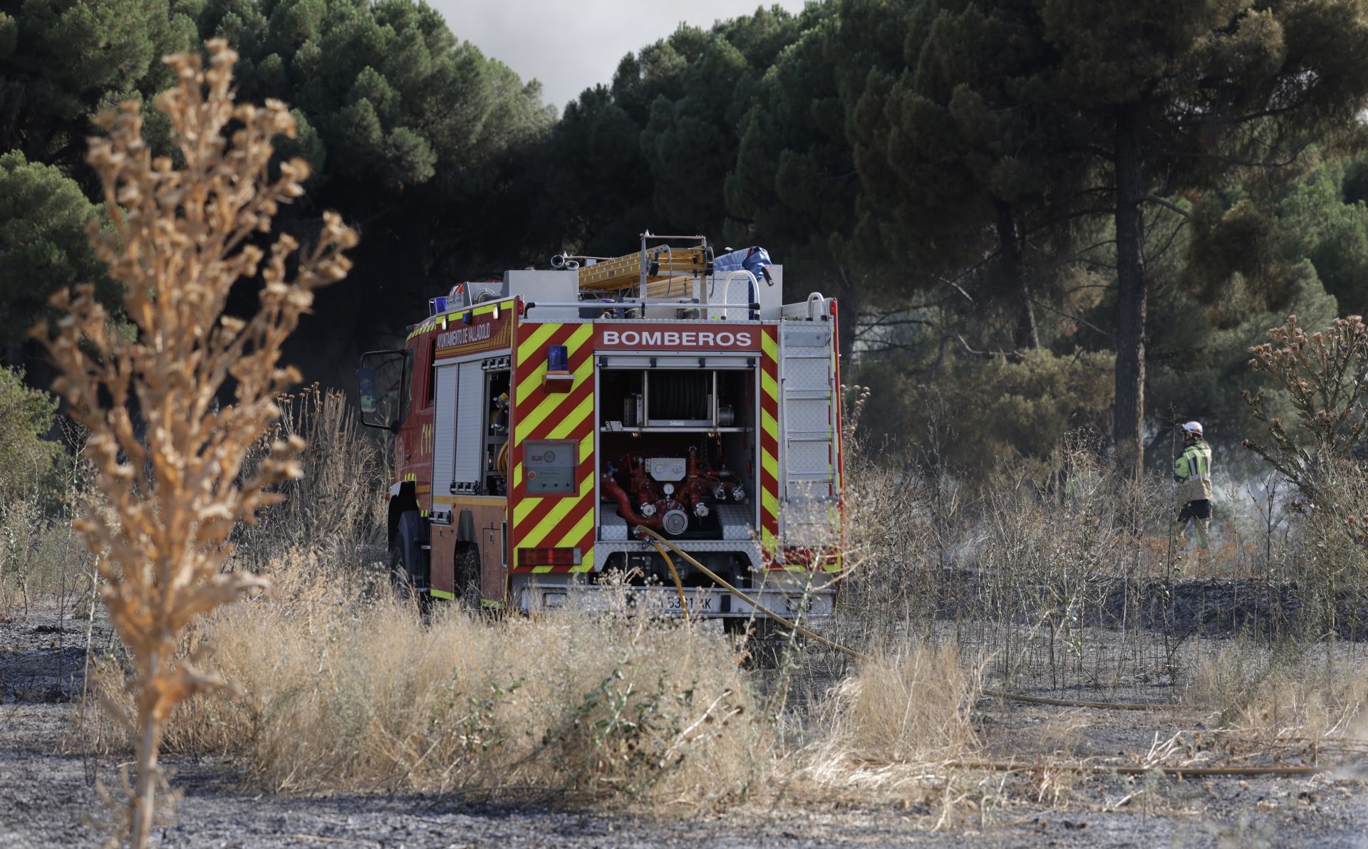 El nuevo incendio en Pinar de Jalón, en imágenes