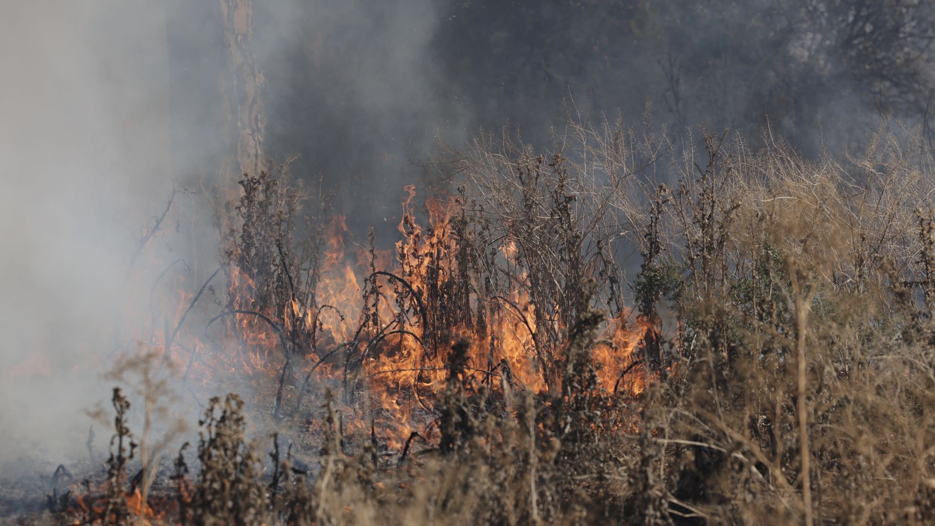 El nuevo incendio en Pinar de Jalón, en imágenes