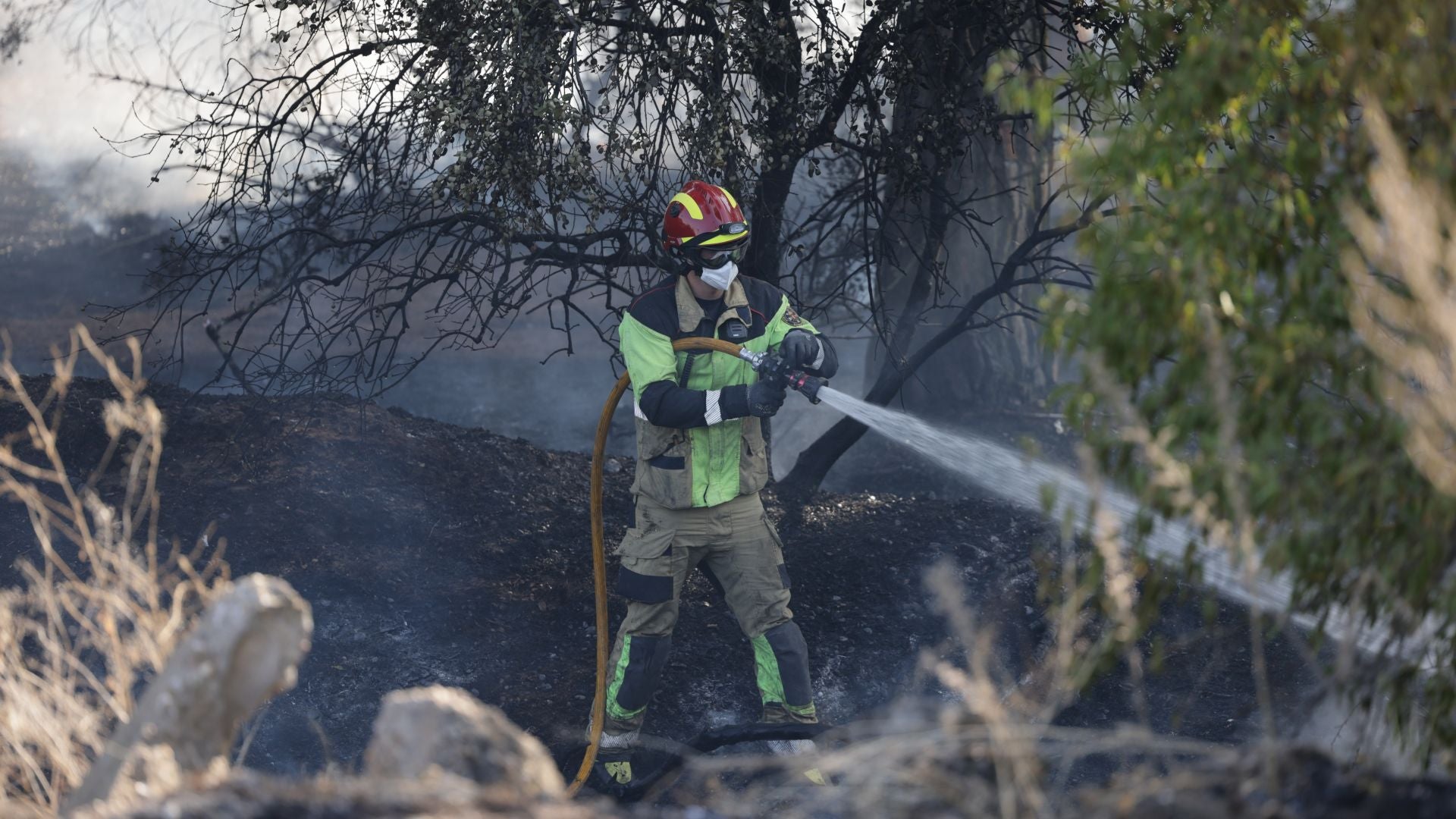 El nuevo incendio en Pinar de Jalón, en imágenes