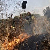 El nuevo incendio en Pinar de Jalón, en imágenes