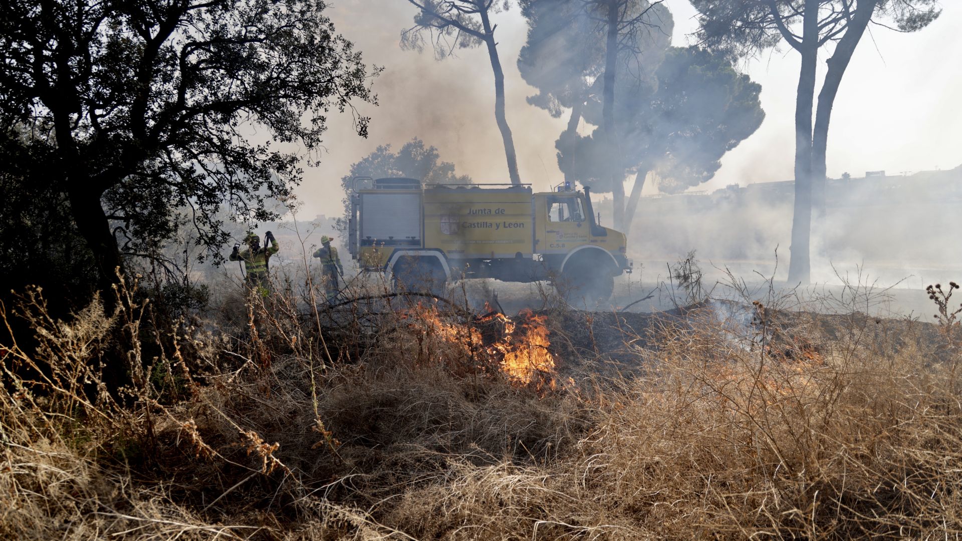 El nuevo incendio en Pinar de Jalón, en imágenes