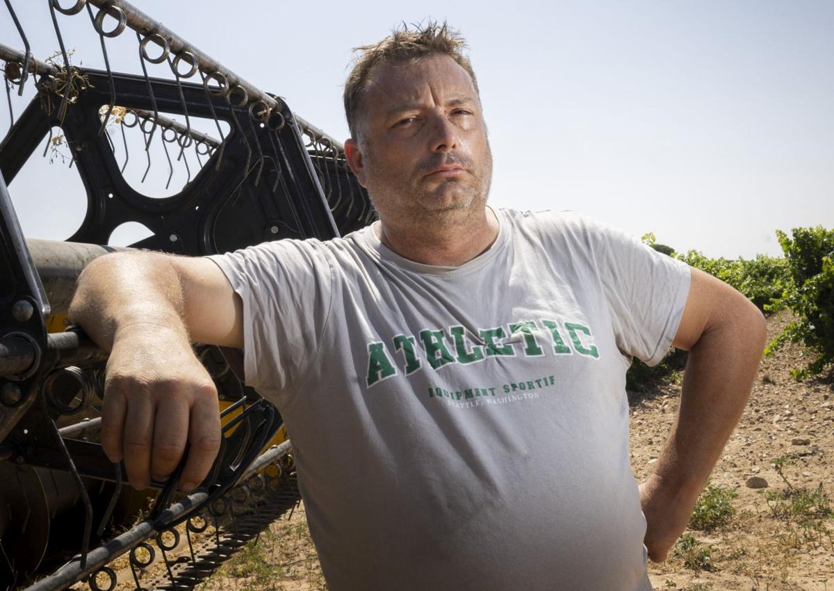 Imagen secundaria 1 - Picadora y tractor para la siega de la lavanda que manejan Iván Prieto y Manuel Ángel Martín, respectivamente, en Tiedra. Debajo, el agricultor Alberto Villaescusa.