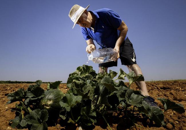 Luis Miguel González regando los melones y sandías que cultiva por afición.