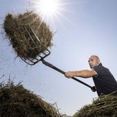 Agricultores en plena ola de calor: agua, paciencia... y vocación