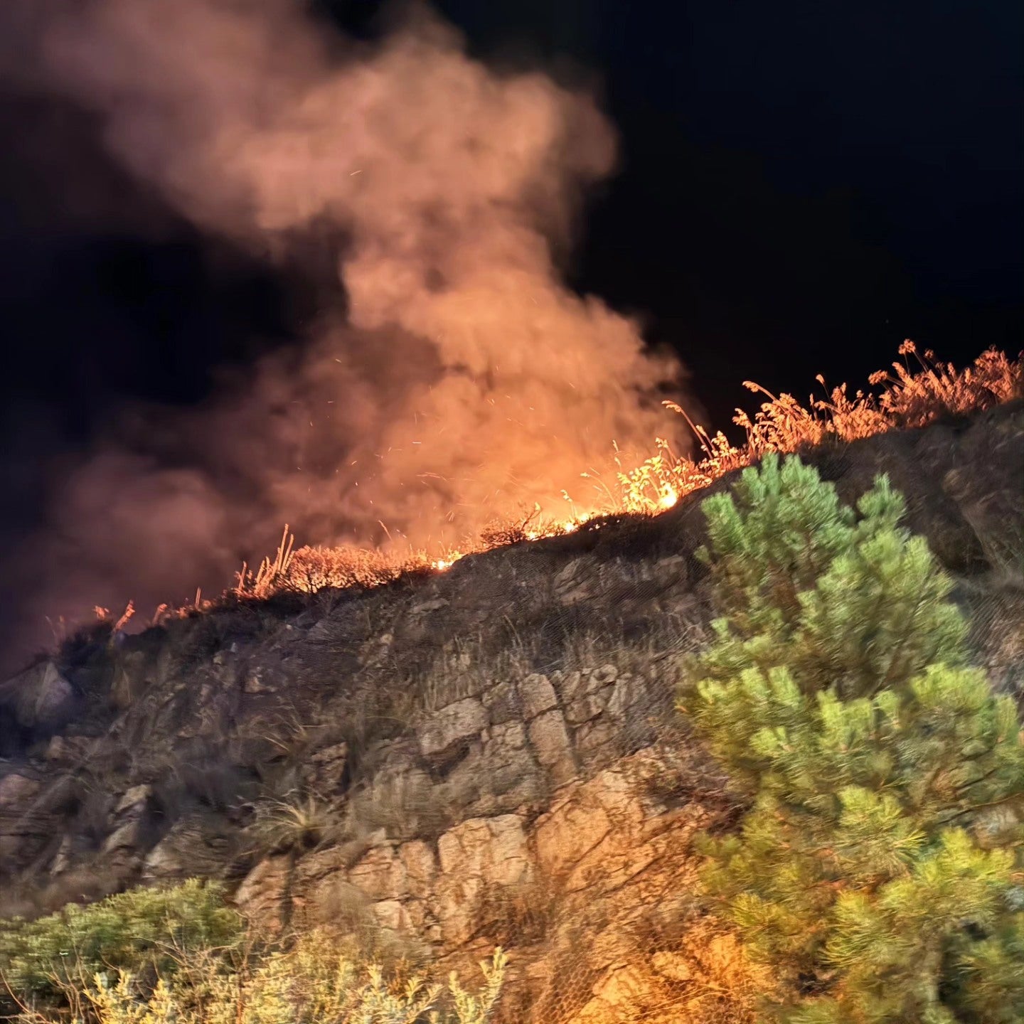 Fotografías del incendio de un autobús en la AP-6