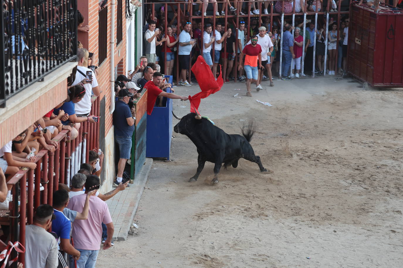 Los festejos taurinos de Castrejón de Trabancos, en imágenes