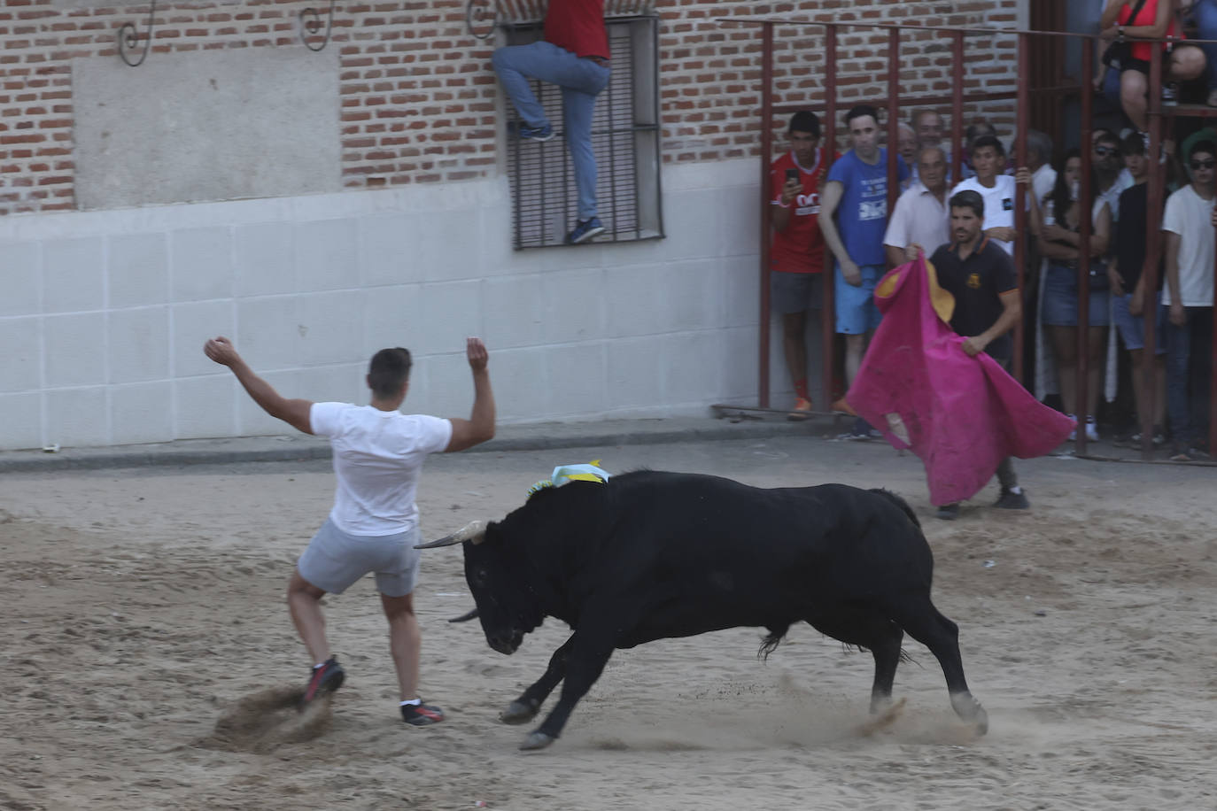Los festejos taurinos de Castrejón de Trabancos, en imágenes