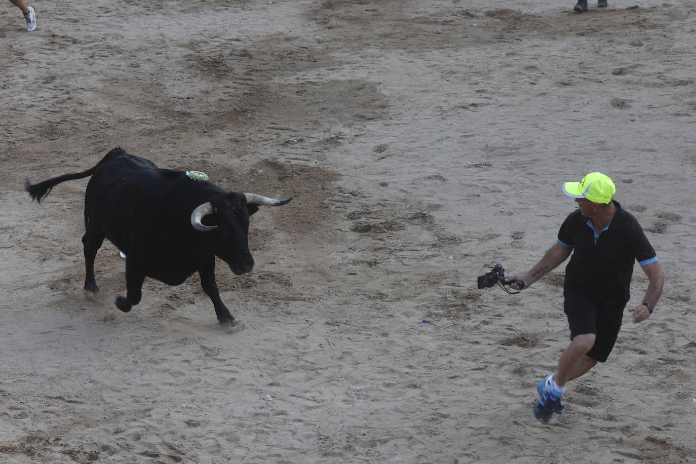 Los festejos taurinos de Castrejón de Trabancos, en imágenes