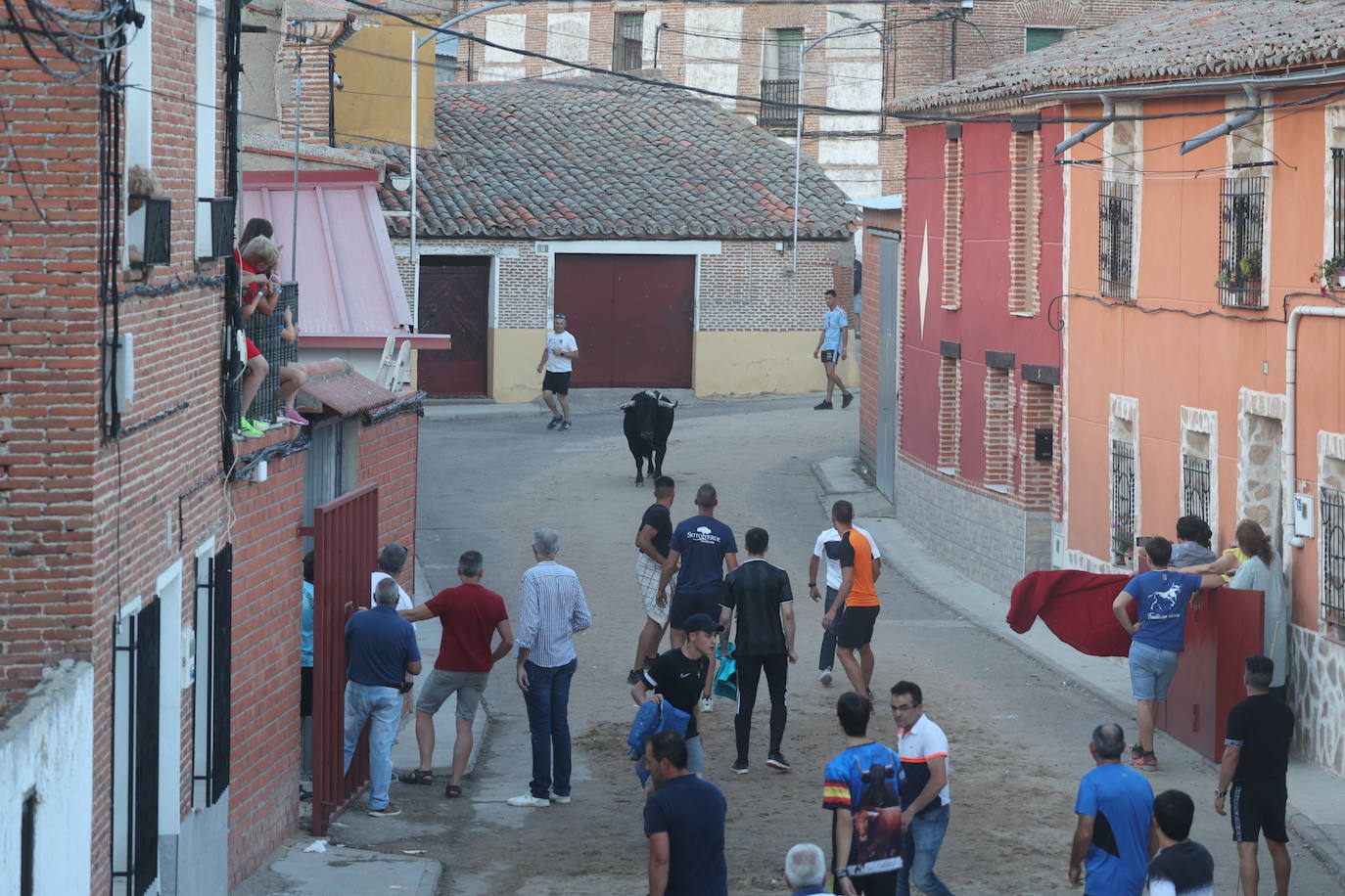 Los festejos taurinos de Castrejón de Trabancos, en imágenes