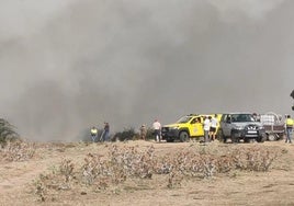 Medios desplegados en el incendio de este lunes en Navas de San Antonio.