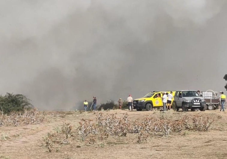 Medios desplegados en el incendio de este lunes en Navas de San Antonio.