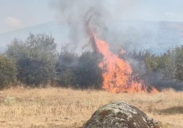 Incendio originado este lunes en Navas de San Antonio, en Segovia.