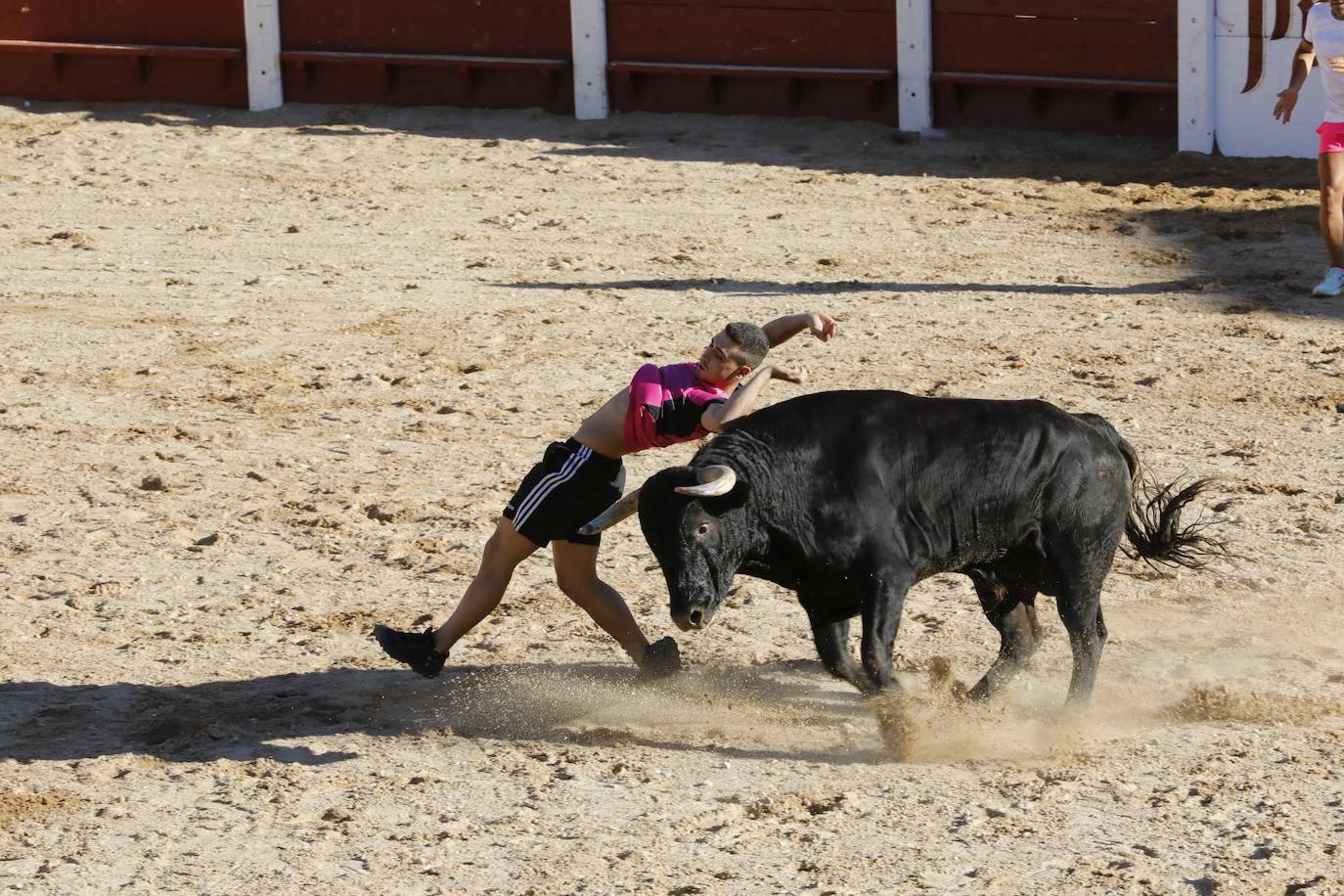 Entretenimiento y espectáculo para inaugurar la fiesta de Peñafiel