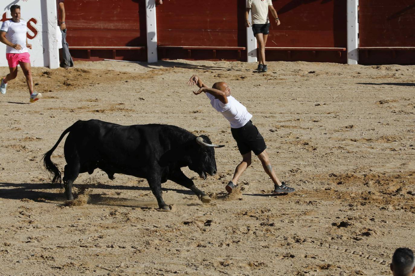 Entretenimiento y espectáculo para inaugurar la fiesta de Peñafiel