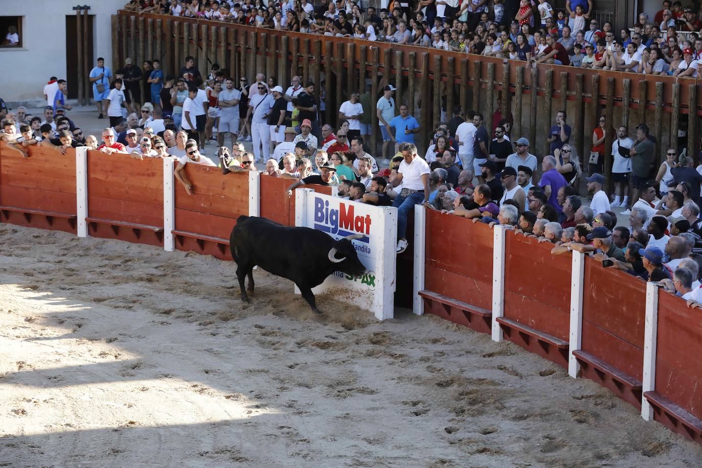 Entretenimiento y espectáculo para inaugurar la fiesta de Peñafiel