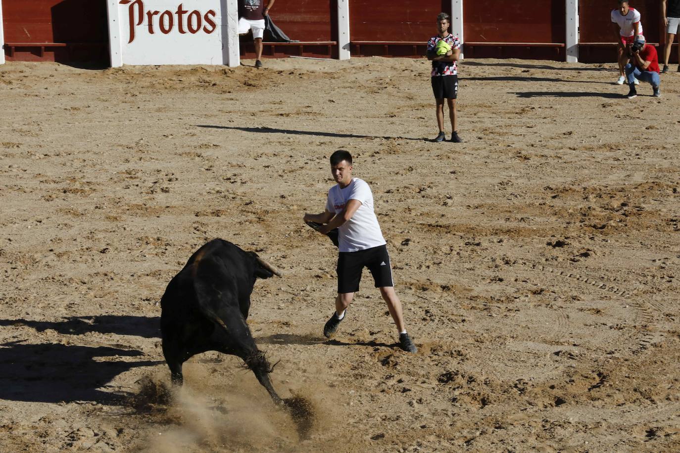 Entretenimiento y espectáculo para inaugurar la fiesta de Peñafiel