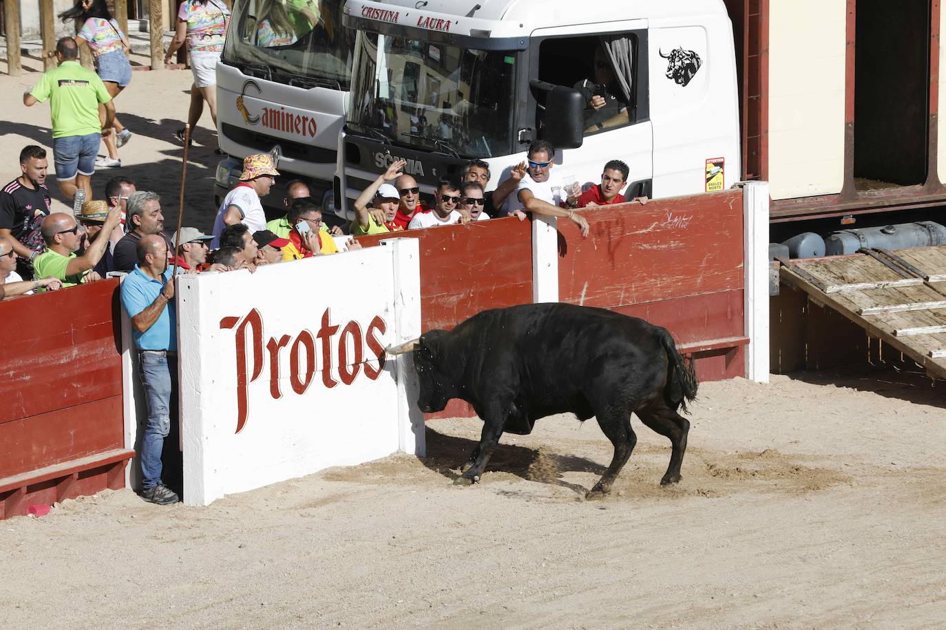 Entretenimiento y espectáculo para inaugurar la fiesta de Peñafiel