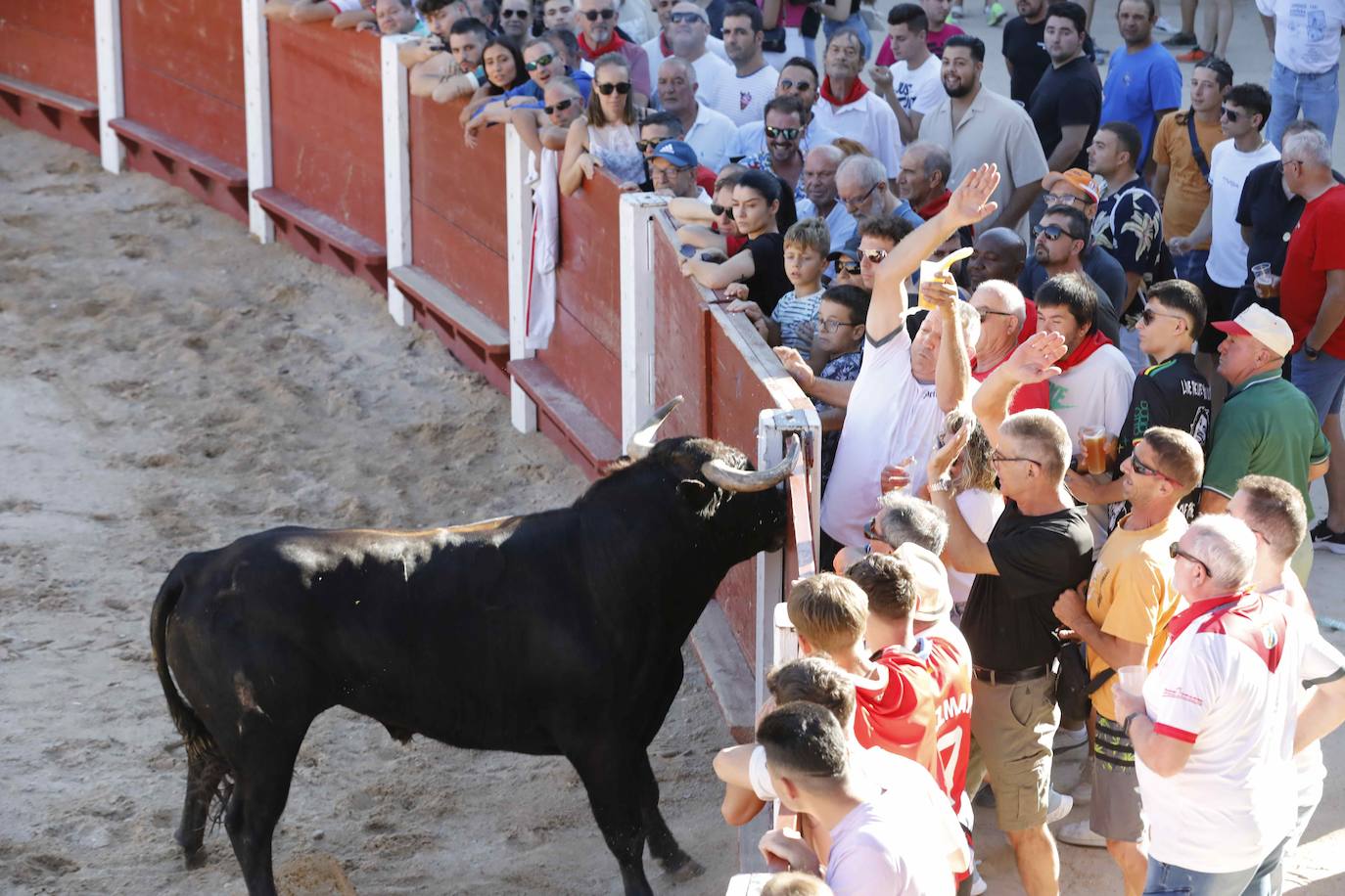 Entretenimiento y espectáculo para inaugurar la fiesta de Peñafiel