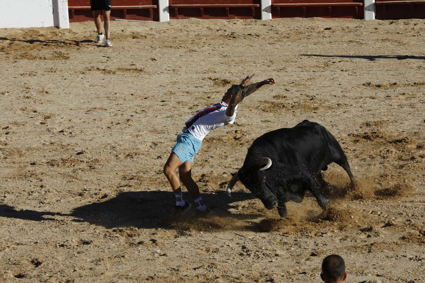 Entretenimiento y espectáculo para inaugurar la fiesta de Peñafiel