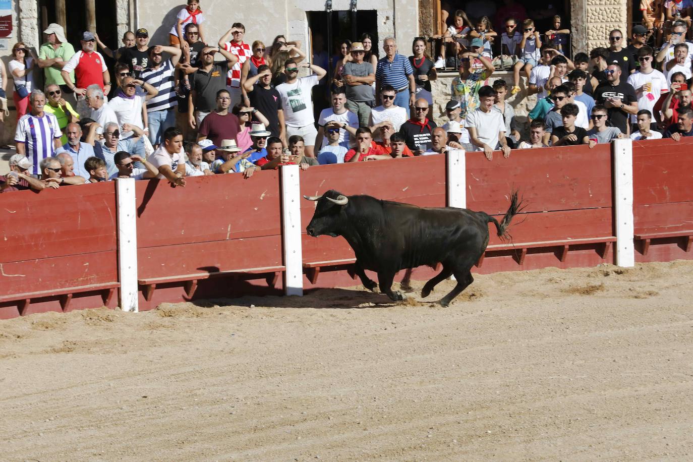 Entretenimiento y espectáculo para inaugurar la fiesta de Peñafiel