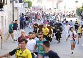 Recta final del encierro, el primero que se ha celebrado de las fiestas.