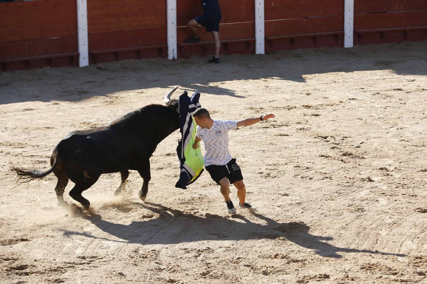 El primer encierro y la capea de Peñafiel, en imágenes