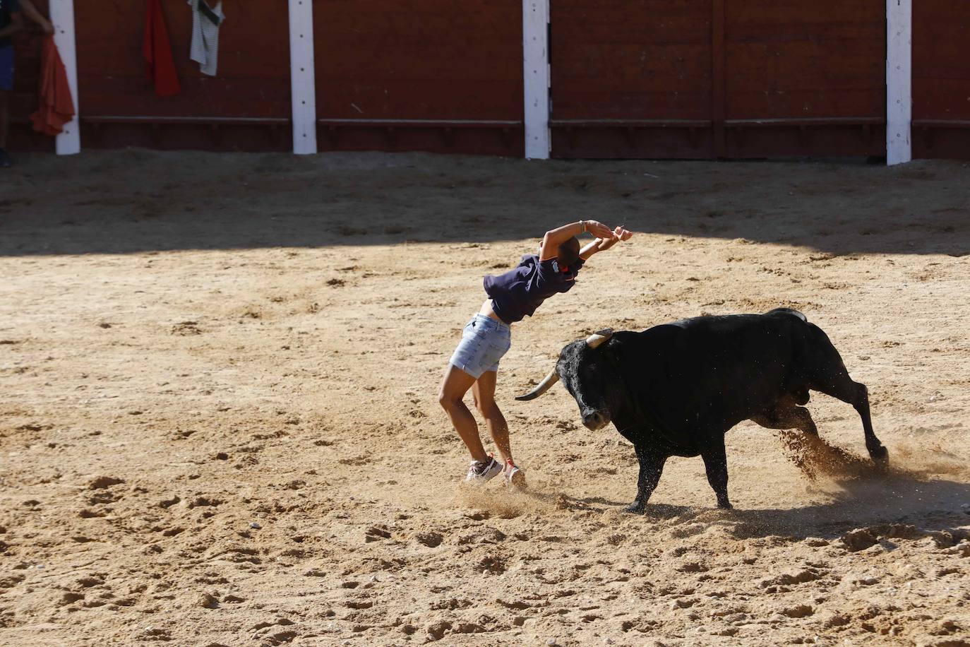 El primer encierro y la capea de Peñafiel, en imágenes