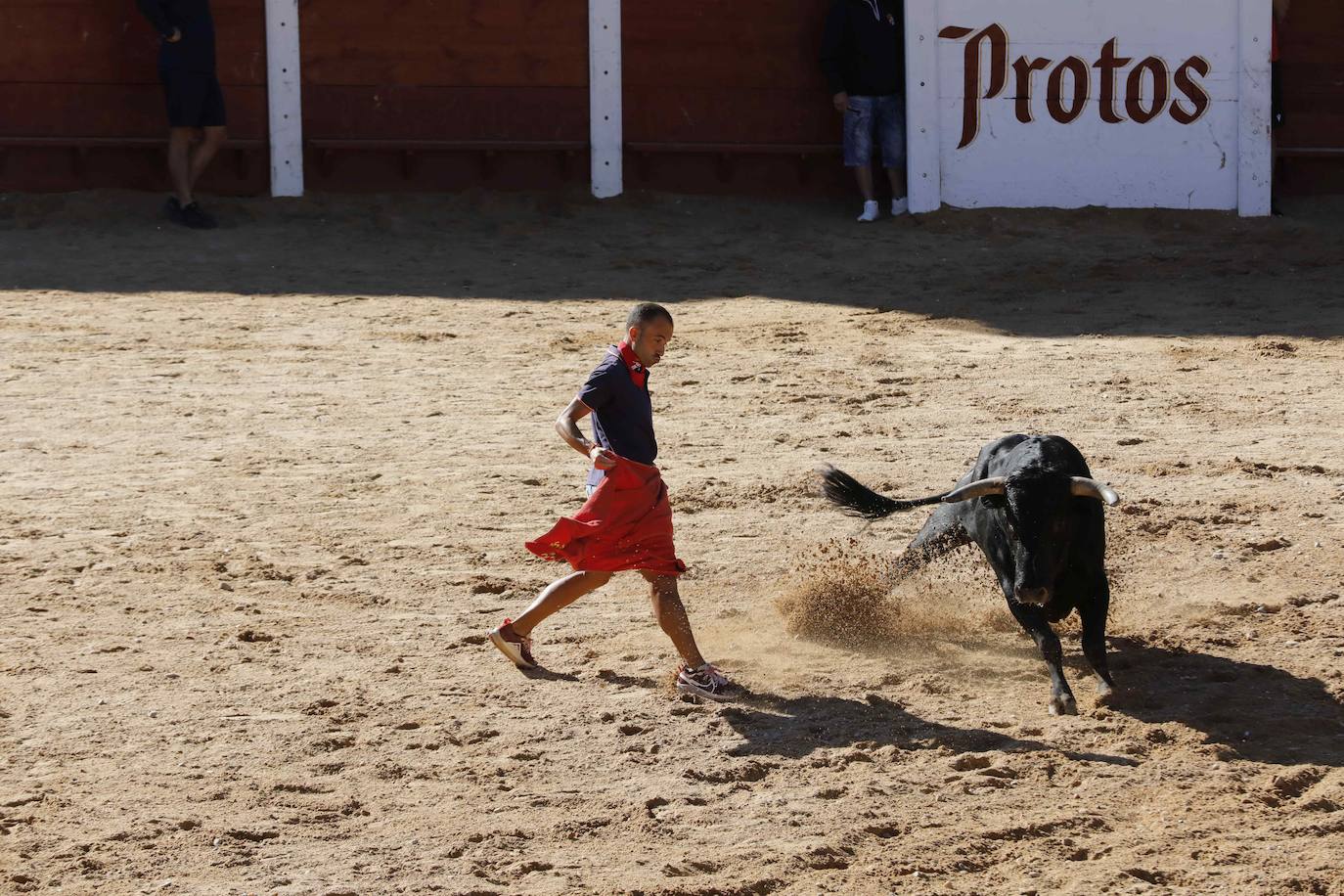 El primer encierro y la capea de Peñafiel, en imágenes