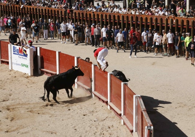 Momento de apuro de dos jóvenes que se han visto a merced de los novillos de dentro y de fuera del ruedo.