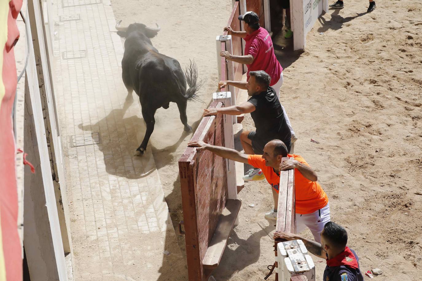 El primer encierro y la capea de Peñafiel, en imágenes