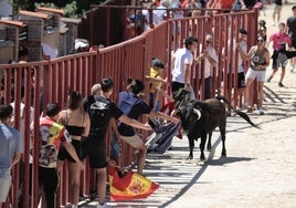 Imagen del encierro en Viana de Cega.