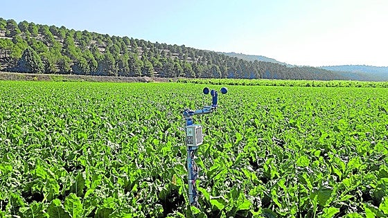 El riego a baja presión reduce hasta un 20% el coste energético