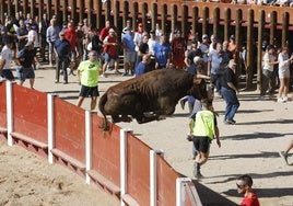 Uno de los saltos al ruedo protagonizado por uno de los toros de Arriazu.