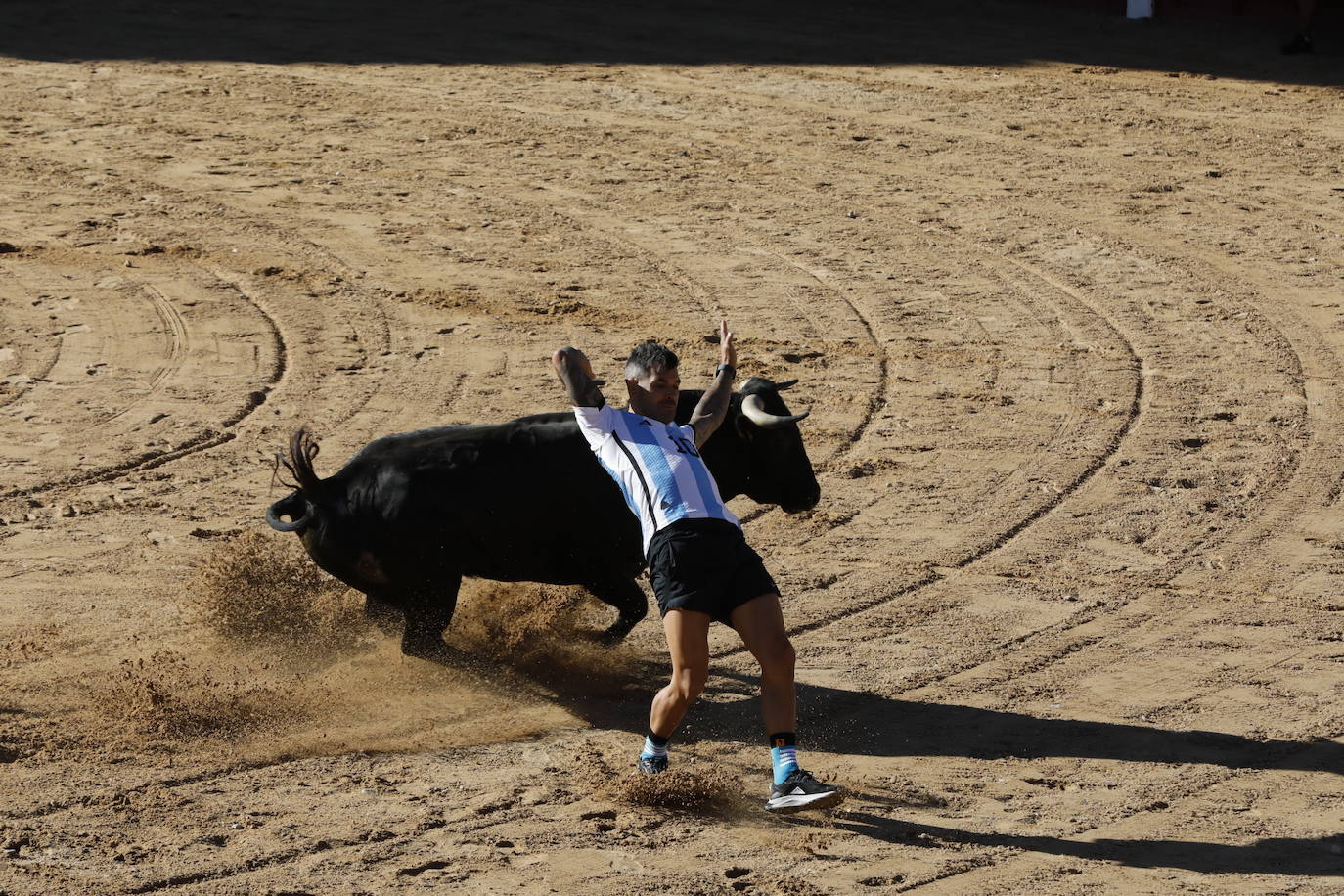 La mañana taurina de Peñafiel, en imágenes