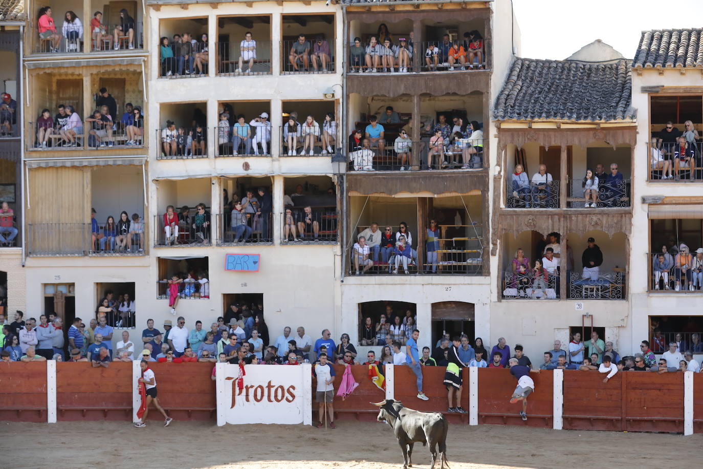 La mañana taurina de Peñafiel, en imágenes