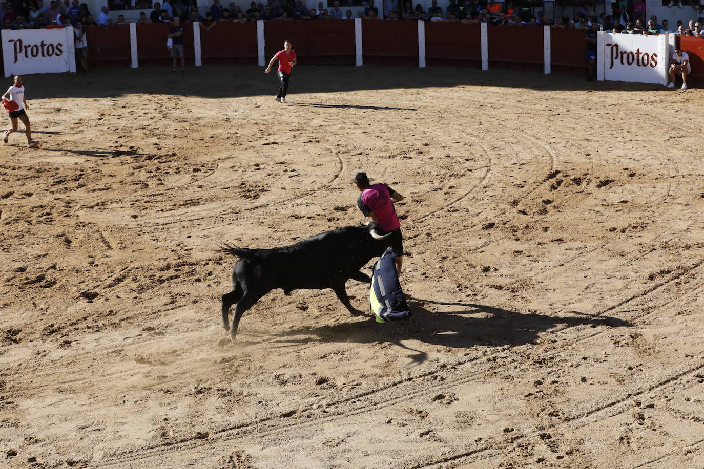 La mañana taurina de Peñafiel, en imágenes